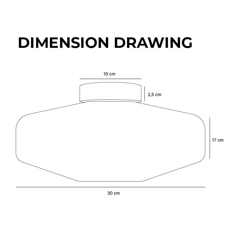 12 inch Cocytus ceiling light dimensions