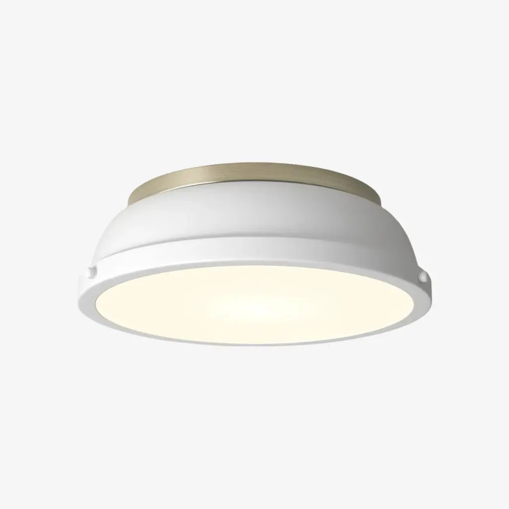 Thornev Industrial Metal Flush Mount Ceiling Lightc7.webp__PID:d1e38cf8-8904-4300-8468-d497f4753eff