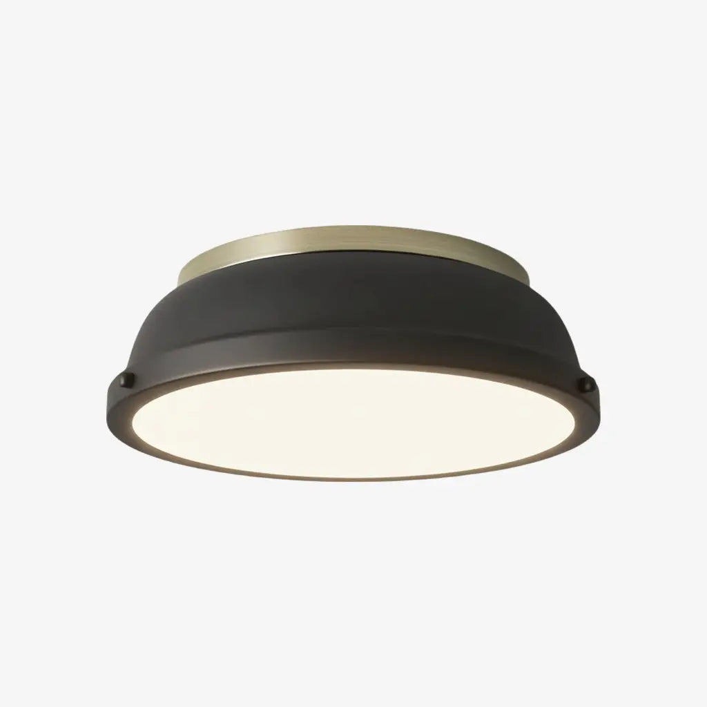 Thornev Industrial Metal Flush Mount Ceiling Lightc6.webp__PID:53d1e38c-f889-4403-8084-68d497f4753e