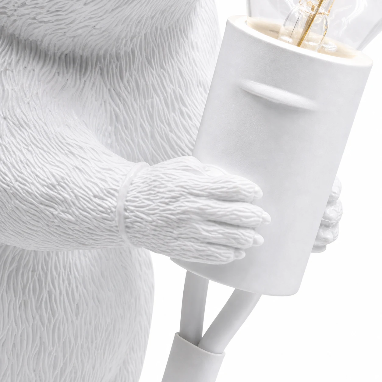 Close view of paws holding the E14 socket